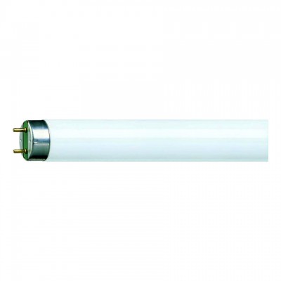 Signify 8711500631718 Philips TL-D 18W 840 Super 80 (MASTER) 59 cm - Zimna Biel 8711500631718 8711500631718