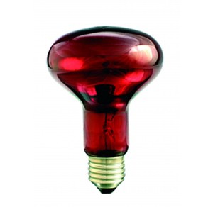 Promiennik podczerwieni kwoka 75W E27 rubin PRO-1466 Rubinowy Helios
