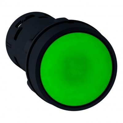 Przycisk stabilny XB7NH31 1Z IP65 /Kolor zielony/ Zielony Schneider
