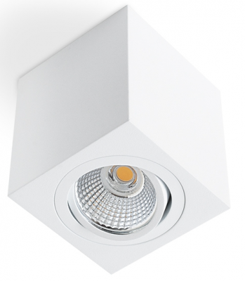 Oprawa natynkowa sufitowa LED ruchoma 6W 620lm 3000K Biały CD-229810-03 RGB TECHNIK