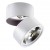 LOMO CL 1 Zuma Line LAMPA SUFITOWA WHITE 20001-WH Biały Zuma