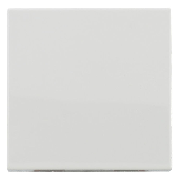 450421 Klawisz pojedynczy łącznika lub przycisku pojedynczego Biały