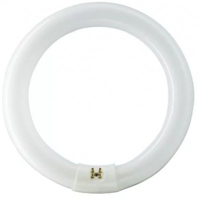 SIGNIFY 8727900840506 Świetlówka TL-E 22W/840 1CT/12