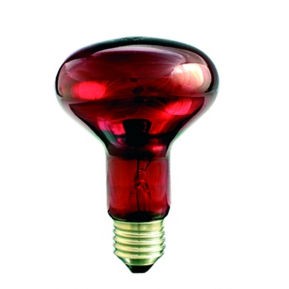 HELIOS Promiennik podczerwieni IR1 75W 230V E27 R80RB /Rubin/