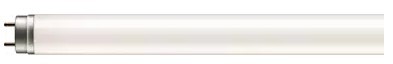 SIGNIFY Świetlówka LED PILA ledtube 19,5W G13 T8 CW 6500K 800LM 1500MM