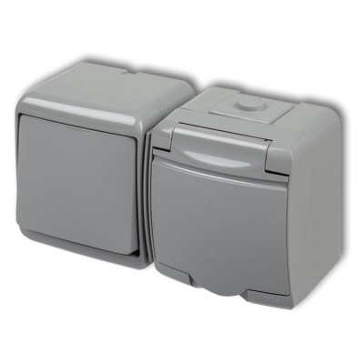 10WGHH-1 Łącznik jednobiegunowy z gniazdem pojedynczym z uziemieniem 2P+Z (klapka popielata, bez przesłon) Popielaty