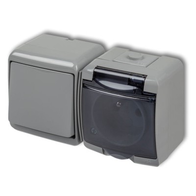 10WGHH-1d Łącznik jednobiegunowy z gniazdem pojedynczym z uziemieniem 2P+Z (klapka dymna, bez przesłon) Popielaty