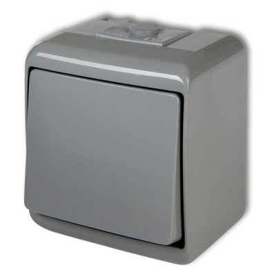 10WHE-1 Łącznik jednobiegunowy Popielaty