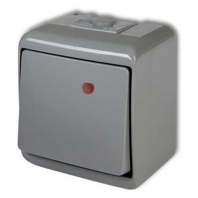 10WHE-1L Łącznik jednobiegunowy podświetlany Popielaty