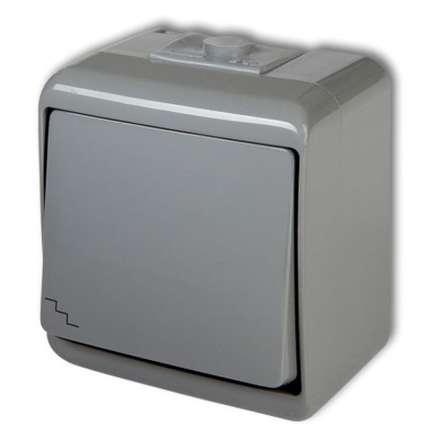 10WHE-3 Łącznik schodowy Popielaty