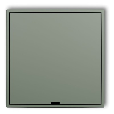 61IRPZ Ramka pośrednia z zaślepką Szałwiowy