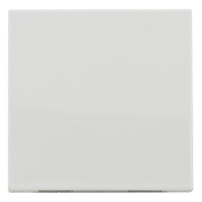 450421 Klawisz pojedynczy łącznika lub przycisku pojedynczego Biały