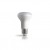 RGB TECHNIK Żarówka Led Bulb R63 E27 8W 230V 3000K WW